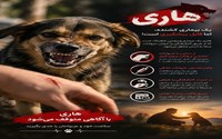 هاری، یک بیماری کشنده، اما قابل پیشگیری است